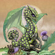 Artichoke Dragon Poster