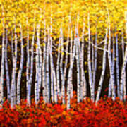 Aspens Aglow Poster