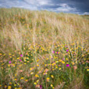 Asphodel And Orchids Poster