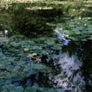 At Claude Monet's Water Garden 10 Poster