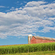 August Cornfield Landscape Poster