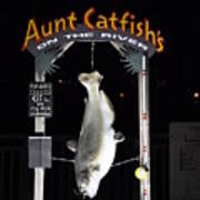 Aunt Catfish Poster