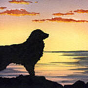 Australian Shepherd Sunset Poster