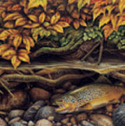 Autumn Brown Trout Poster