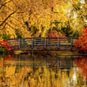 Autumn Color By The Pond Poster