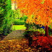 Autumn Colors Poster