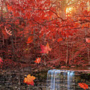 Autumn Falls Poster
