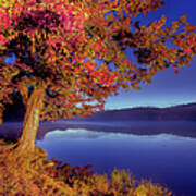 Autumn Glow Before Sunrise In The Blue Ridge Poster