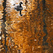 Autumn Goose Reflection Poster