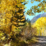 Autumn In Bishop Creek Poster