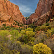 Autumn In Kolob Canyons Poster