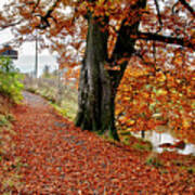 Autumn In Polkemmet Poster