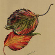 Autumn Leaves Poster