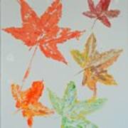 Autumn Leaves Poster