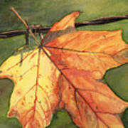 Autumn Maple Leaf Poster