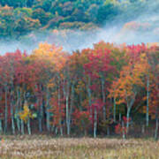 Autumn Morning Mist Poster