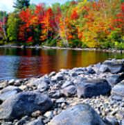 Autumn Shoreline Poster