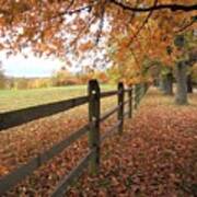 Autumn Vista In Virginia Poster