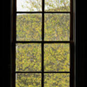Autumn Yellow Leaves Through Attic Window Poster
