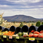 Autumnal Abundance In The Blue Ridge Mountains - Virginia Poster