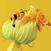 Baby Bee On A Pumpkin Flower Poster