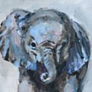 Baby Elephant Safari Animal Painting Poster