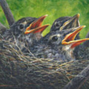 Baby Robins Poster