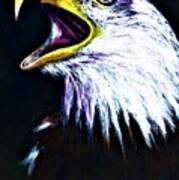 Bald Eagle - Francis -audubon Poster