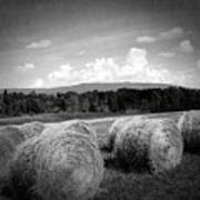 Bales In Monochrome Poster