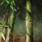 Bamboo Stalks Poster