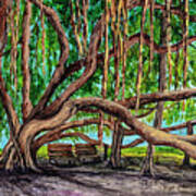 Banyan Tree Park Poster