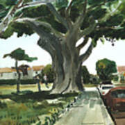 Banyan Tree Poster