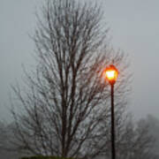 Bare Tree And Street Light In Early Morning Fog Poster