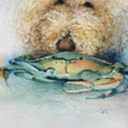 Barklee And The Crab Poster