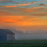 Barn And Mist At Dawn Poster