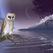 Barn Owl By The Lake Poster