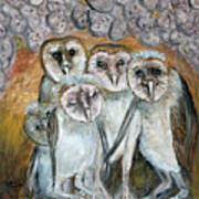 Barn Owl Chicks In Cave Poster