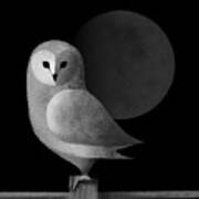 Barn Owl Full Moon Poster