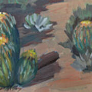 Barrel Cactus At Tortilla Flat Poster