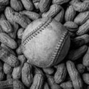 Baseball And Peanuts Black And White Square Poster
