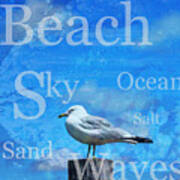 Beach Art Seagull By Sharon Cummings Poster