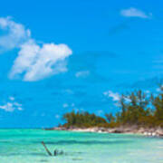 Beach At North Bimini Poster