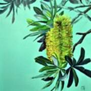 Beach Banksias Poster