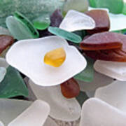 Beach Glass Collection Poster
