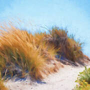 Beach Grass And Sand Dunes Poster