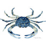 Beach House Sea Life Blue Crab Poster