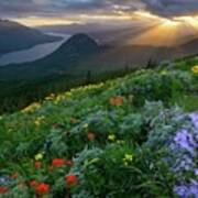 Sun Rays Shine Down Over Wildflowers On Dog Mountain Poster