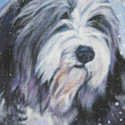 Bearded Collie In Snow Poster