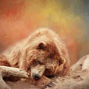 Bearly Asleep Poster