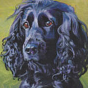 Beautiful Black English Cocker Spaniel Poster